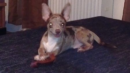 IMAG0092.jpg