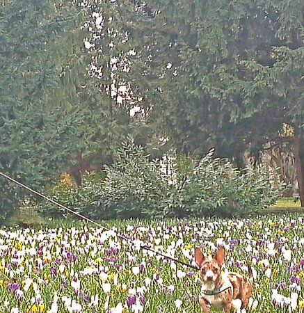 CameraZOOM-20130409184743976.jpg