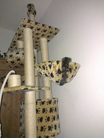 IMG_20130409_221815.jpg