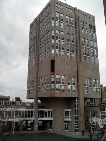 IMG_20130411_125144.jpg