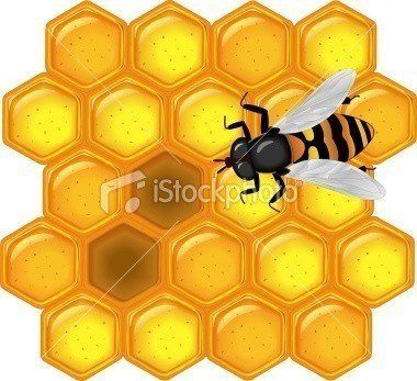 ist2_7808145-golden-honeycomb-with-bee.jpg