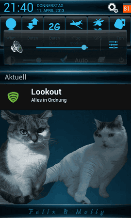 Screenshot_2013-04-11-21-40-04.png