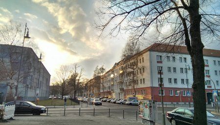 IMAG0105.jpg