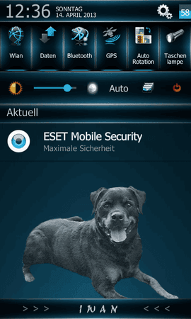 Marcel-Theme-Iwan-2.png