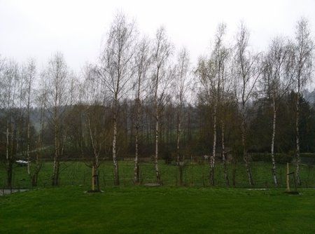 CAM00020.jpg