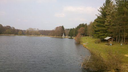 DSC_0052.jpg