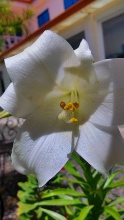 IMG_24042013_143321_HDR.jpg