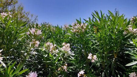 IMG_24042013_142311_HDR.jpg