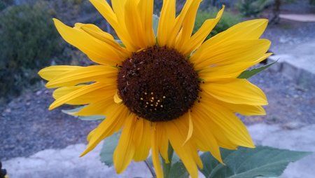 IMG_24042013_202151[1].jpg