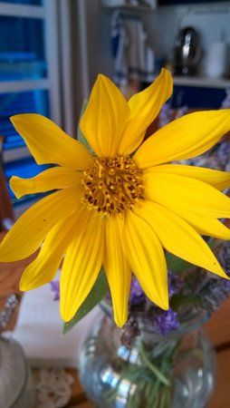 IMG_20130425_143822.jpg
