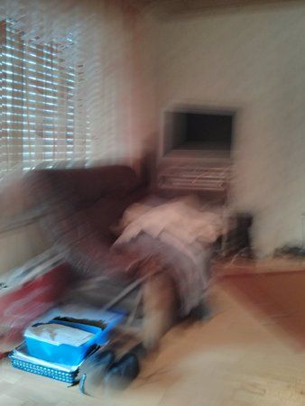 IMG_20130426_121033.jpg