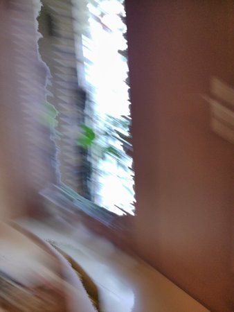 IMG_20130426_121235.jpg
