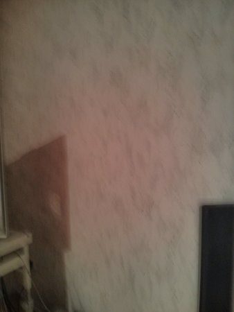IMG_20130426_121542.jpg