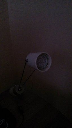 IMG_20130426_175045.jpg