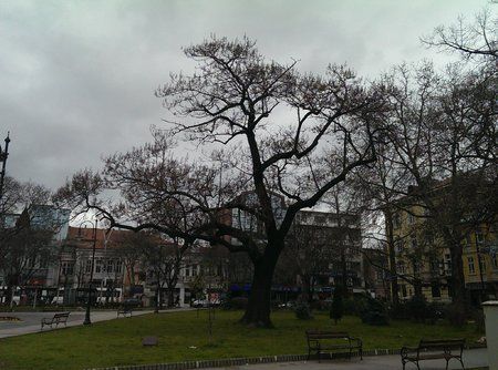 Samsung-Galaxy-S4-vs-HTC-One-40-One-samples.jpg