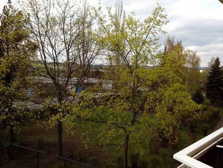 IMG_20130429_172943.jpg