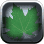 Greenify.png