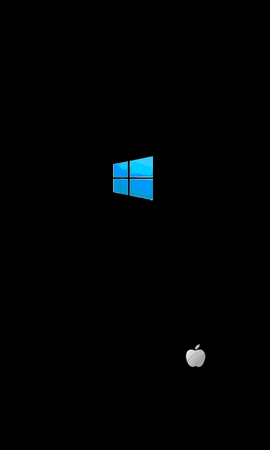 Animation.gif