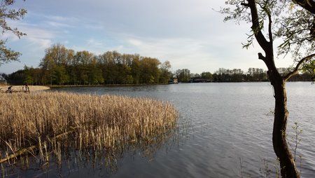 20130503_193811.jpg