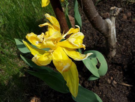 20130505_152937.jpg