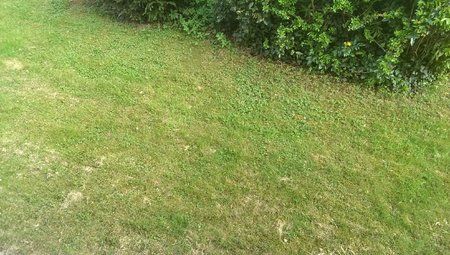 2013-05-06 18.33.48.jpg