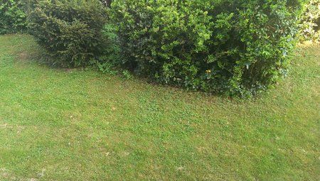 2013-05-06 18.33.58.jpg