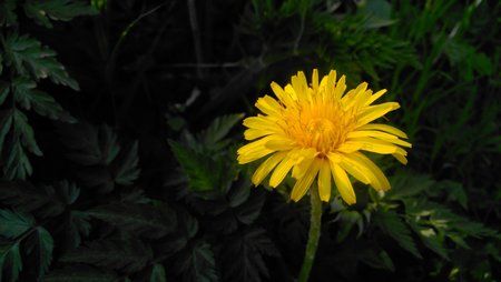 IMG_20130506_170944.jpg
