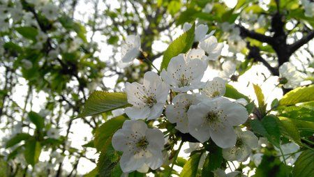 IMG_20130506_182156.jpg