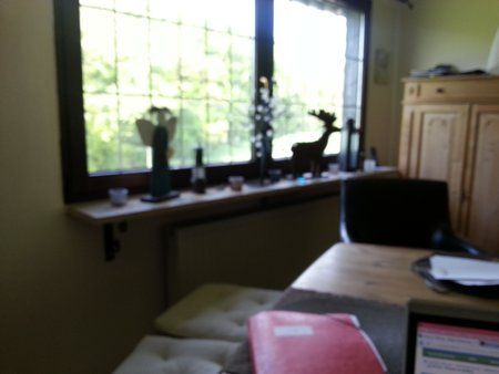 CameraZOOM-20130509153414380.jpg