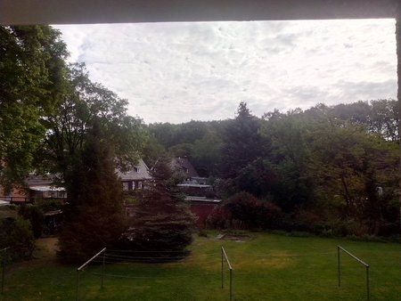 IMG_20130511_085136_1.jpg