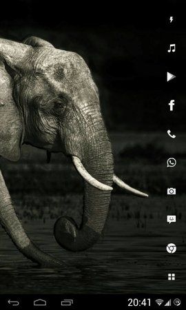 uploadfromtaptalk1368384181091.jpg