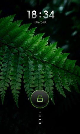 uploadfromtaptalk1368725417713.jpg