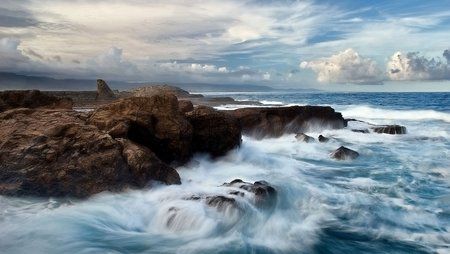ocean_brushes.jpg