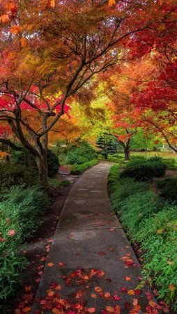 bagshaw_tree_hall.jpg