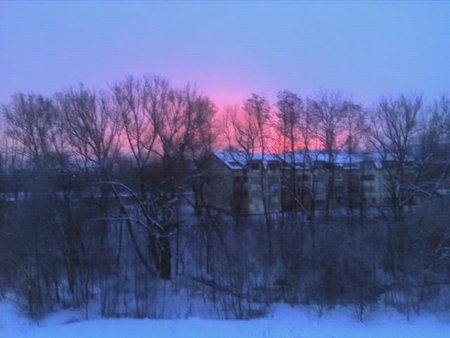 IMG_20101205_074313.jpg