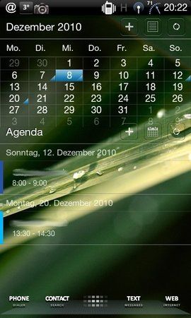CAP2010120820212.jpg