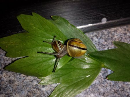 20130522_104131.jpg