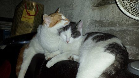 20130521_203730.jpg