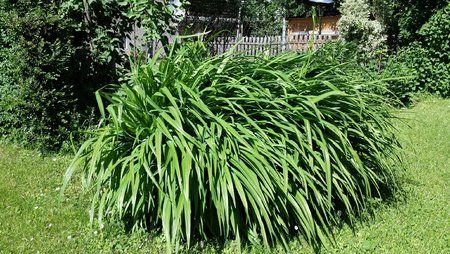 20130518_155319.jpg