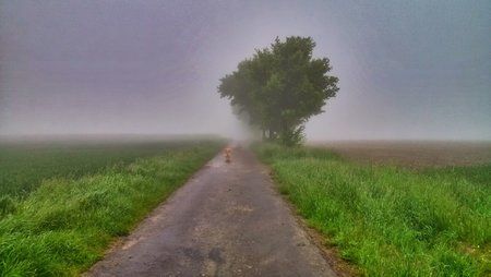 IMG_20130528_061036_HDR.jpg