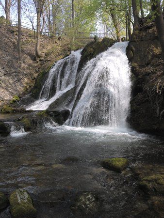 IMG_20130505_123738_680[1].jpg