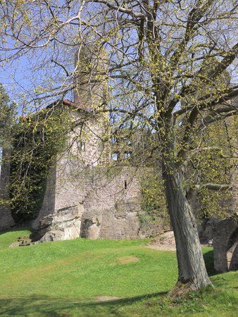 IMG_20130505_150803_502[1].jpg