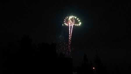 IMG_01062013_213655_4.jpg
