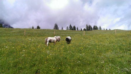 IMAG0818_BURST009.jpg
