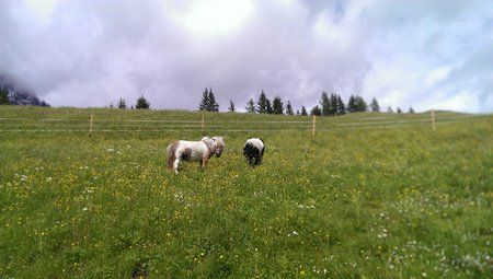 IMAG0818_BURST010.jpg