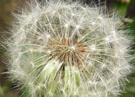 DSC_0102_original.jpg