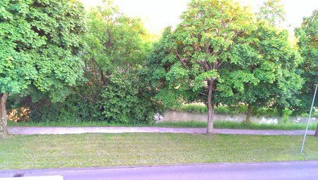 IMAG0302.jpg