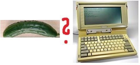 123.jpg