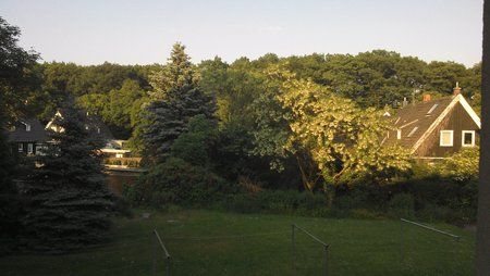 IMG_20130607_195318_003.jpg
