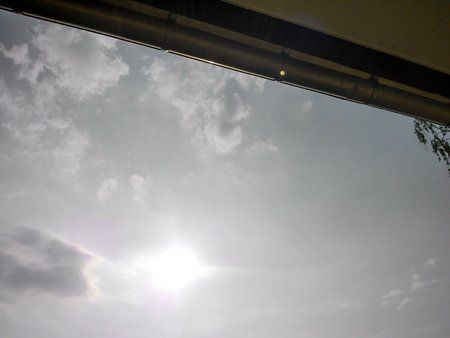 IMG_20130608_082359_047.jpg